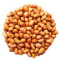 1kg Wild Bird Nuts Part No.NUTS1